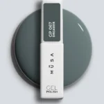 Гел лак Dreamer GP067 7ml