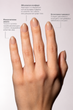 Soft Gel типси за бързо удължаване – Natural Short Oval 06 - Image 3